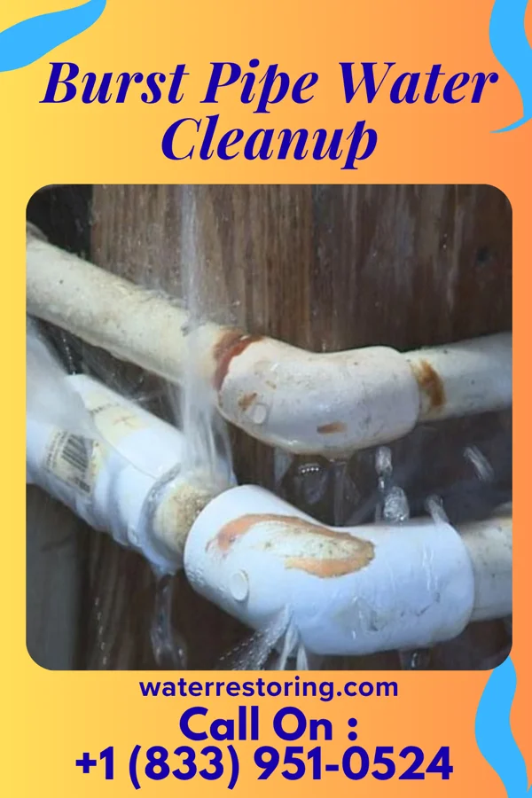 Burst Pipe Water Cleanup in Verona, OH