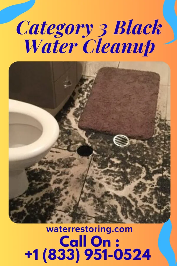 Category 3 Black Water Cleanup in Verona, OH