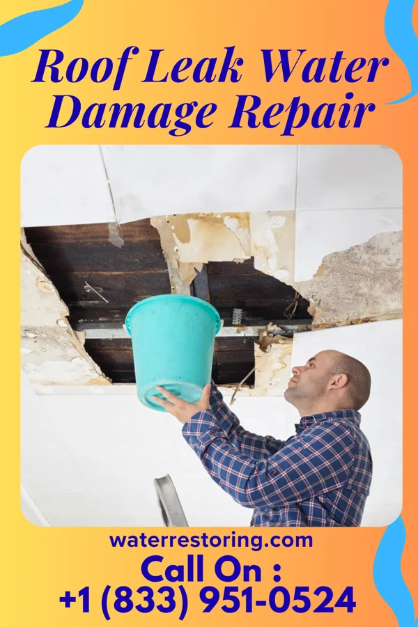 Roof Leak Water Damage Repair in Verona, OH
