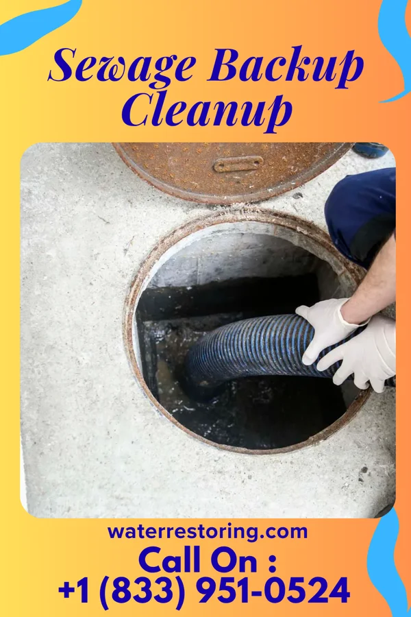 Sewage Backup Cleanup in Verona, OH