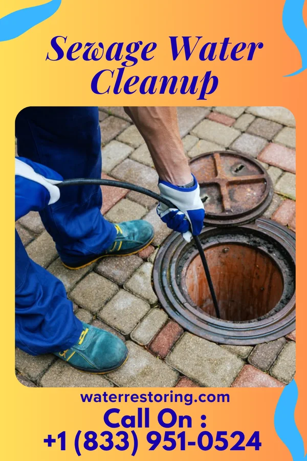 Sewage Water Cleanup in Verona, OH