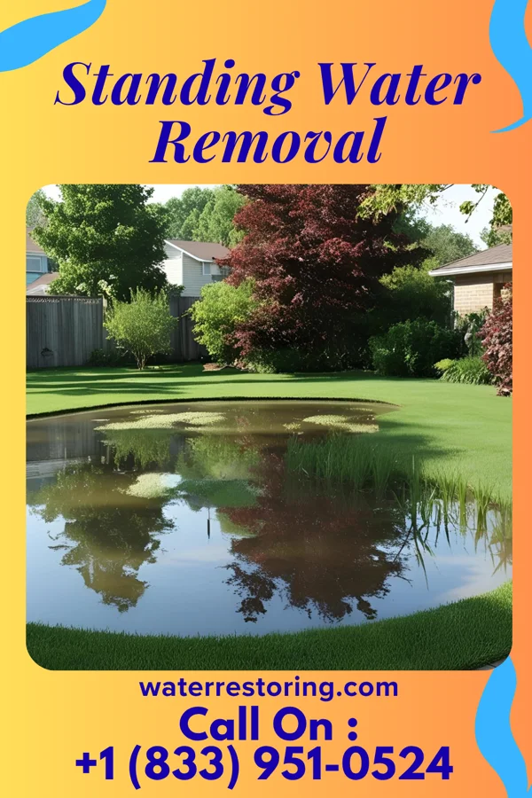 Standing Water Removal in Verona, OH